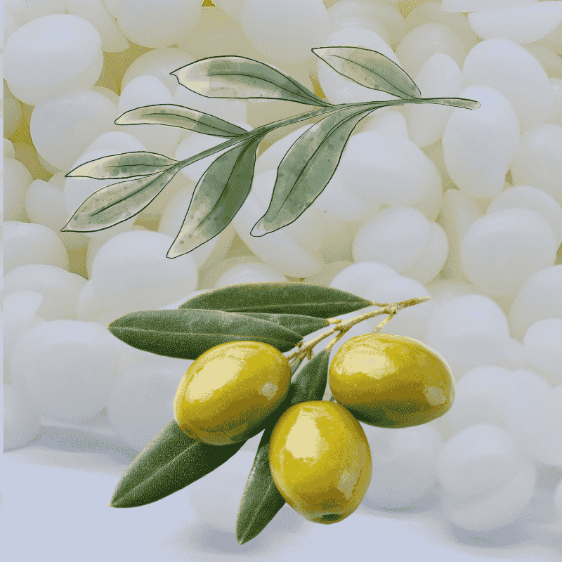 Pastilles de cire d'olive et branche d'olivier, matière première des bougies ST'ART