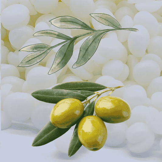 Pastilles de cire d'olive et branche d'olivier, matière première des bougies ST'ART