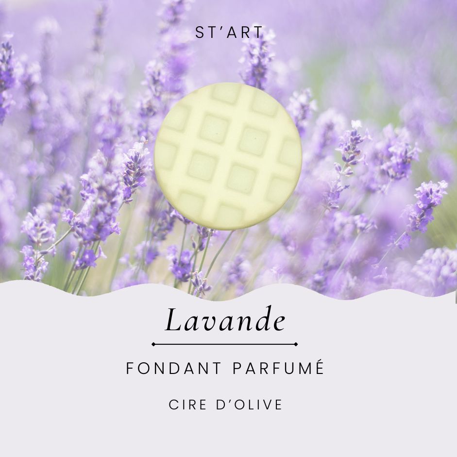 Fondant parfumé Lavande ST'ART en cire d'olive, gaufrette 8 g devant un champ de lavande en fleur